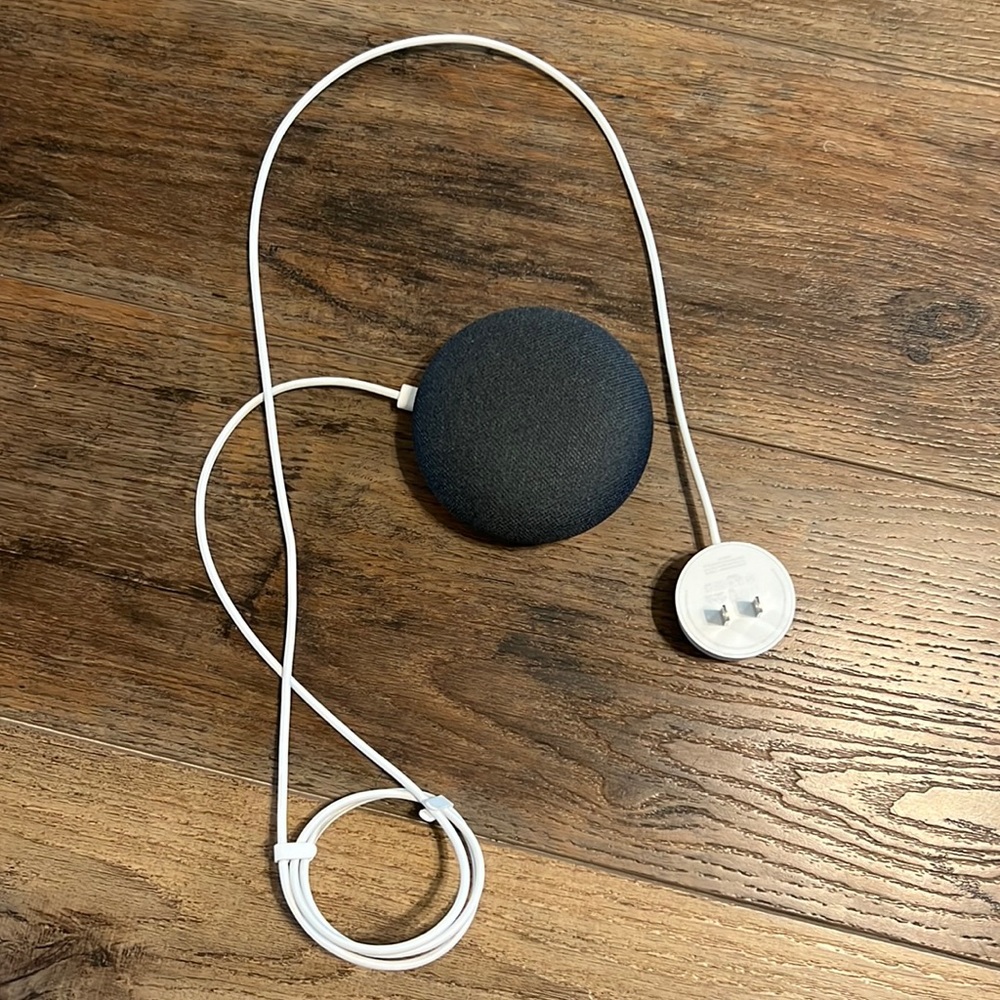 google home